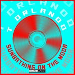 cover: T Orlando - Sunbathing On The Moon