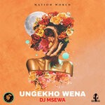 cover: Dj Msewa - Ungekho Wena