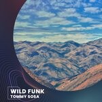 cover: Tommy Sosa - Wild Funk