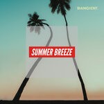 cover: Deazy|Ina - Summer Breeze