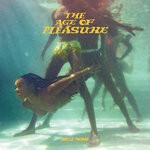 cover: Janelle Mon?e - The Age Of Pleasure