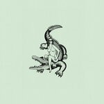 cover: Demuja - Riding The Crocodile