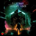 cover: Dj Straw - Lost My Voice