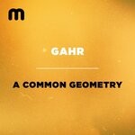 cover: Gahr - A Common Geometry