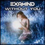 cover: Examind - Without You