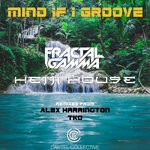 cover: Fractal Gamma|Hetti House - Mind If I Groove