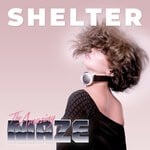 cover: The Amazing Maze - Shelter