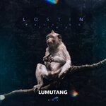 cover: Lostin - Passing Time