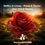 cover: Linney|Marlo - Roses & Thorns