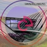 cover: Varadi Janos - Growing Feeling