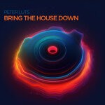 cover: Peter Luts - Bring The House Down