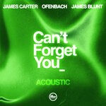 cover: James Blunt|James Carter|Ofenbach - Can't Forget You (Acoustic)