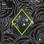 cover: Baars - Danique