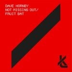 cover: Dave Hornby - Not Missing Out / Fruit Bat