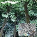 cover: Cavalier - Nocturnal