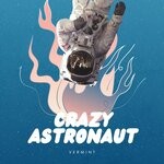 cover: Vermint - Crazy Astronaut