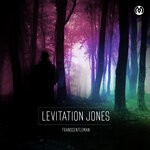 cover: Levitation Jones - Transgentleman