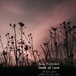 cover: Sam Fletcher - Seeds Of Love (Piano Mix)