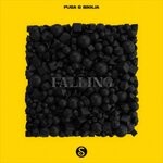 cover: Bikkja|Pusa - Falling