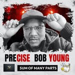 cover: Precise Bob Young - Sum Of Many Parts