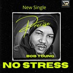 cover: Precise Bob Young - No Stress