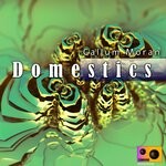 cover: Callum Moran - Domestics