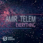 cover: Amir Telem - Everything