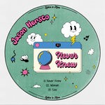 cover: Jason Hersco - Never Knew