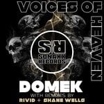 cover: Domek - Voices Of Heaven