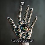 cover: Symmetrical Shapes - Touch Perception