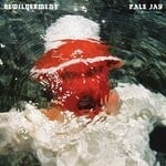 cover: Pale Jay - Bewilderment