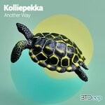 cover: Kolliepekka - Another Way