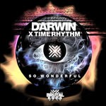 cover: Darwin|Time Rhythm - So Wonderful