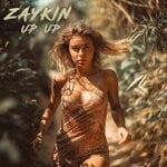 cover: Zaykin - Up Up