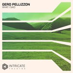 cover: Gero Pellizzon - What I Said