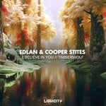 cover: Cooper Stites|Edlan - I Believe In You / Timberwolf