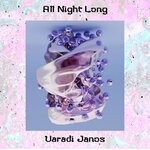 cover: Varadi Janos - All Night Long