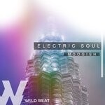 cover: Moogish - Electric Soul