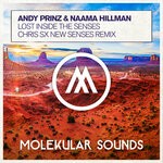 cover: Andy Prinz|Naama Hillman - Lost Inside The Senses