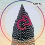 cover: Dfv - Why Not