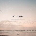 cover: Lo?|Vall - Let You Go