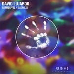 cover: David Lujaroo - Adamsapfel / Magnolia