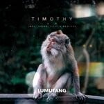 cover: Timothy - Feet Up