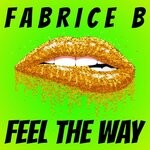 cover: Fabrice B - Feel The Way (Radio Edit)