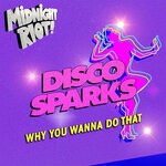 cover: Disco Sparks - Why You Wanna Do That