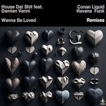 cover: Damien Vanni|House Dat Shit - Wanna Be Loved (Conan Liquid & Havana Funk Remixes)