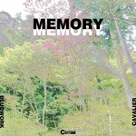 cover: Bludwork|Cavalier - Memory