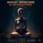 cover: Divination|Sonic Species - Feels Like Home