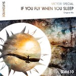 cover: Victor Special - If You Fly When You Sleep