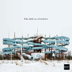 cover: Palida - Salamandra